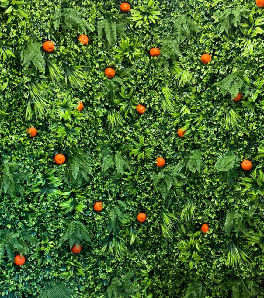 Orange Garden